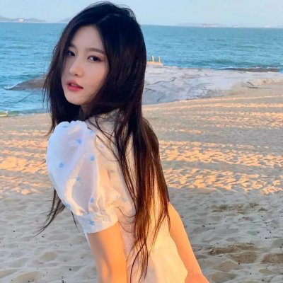 海龟们