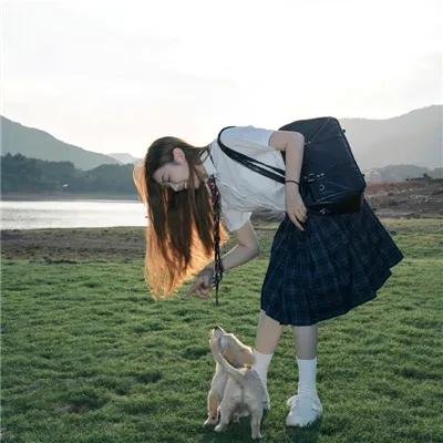 仙女教母